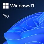 Microsoft Windows 11 Professional 64bit English OEI DVD Operating Software OEM - Image 2